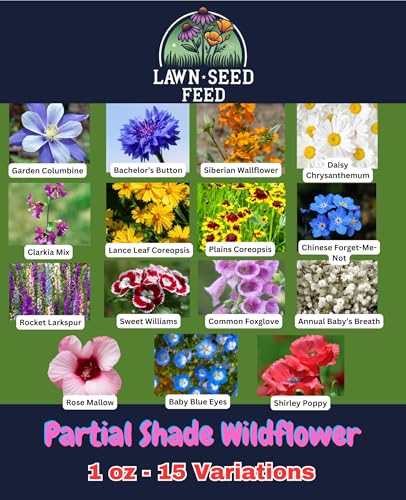 Partial Shade Wildflower Mix Seed (4 oz)