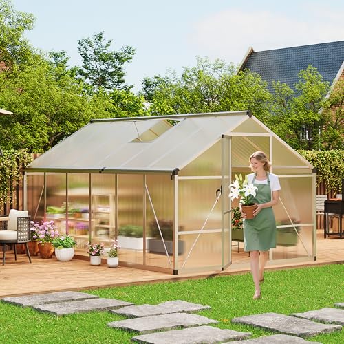 8x12 FT Greenhouse for Outdoors (Silver / 8x12 FT)