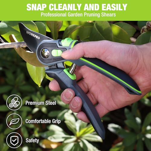 Pruning Shears