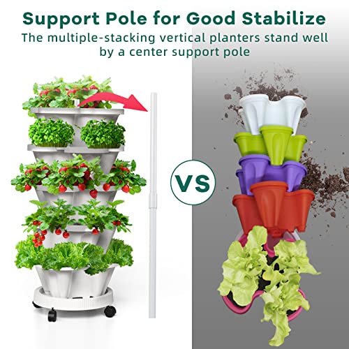 Strawberry Vertical Planters