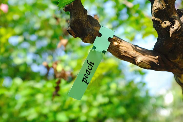 100Pcs Green Plant Tags Wrap Around Tree Tags Markers (8.27 inch / Green)