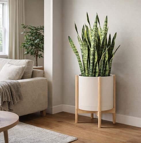 Plastic Pot with Natural Wood Stand (Oatmeal Pot + Natural Stand / 16 Inch)