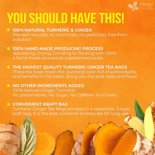 Premium 210 Ginger Turmeric Tea Bags (210 Tea Bags)