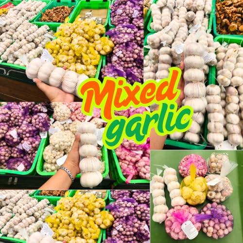 1 LB Top Size Hardneck Softneck Garlic Bulbs for Planting in Fall (Random Mix)