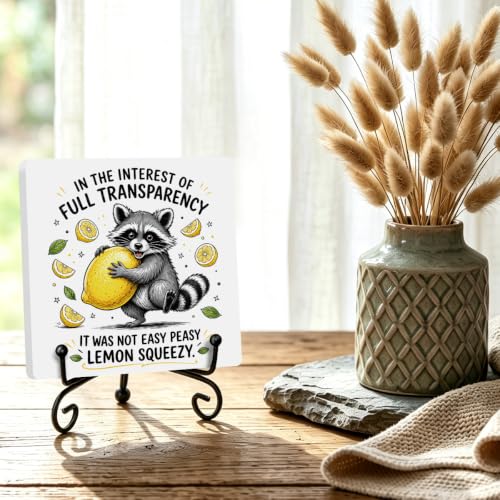 Funny Raccoon Wooden Plaque for Home Office Book Shelf Table Decor 01 (Multicolor 1742 / Wooden sign with iron frame（6.3 x 6.3 inches）)