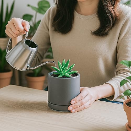 2 Pack Ceramic Pots with Saucers
