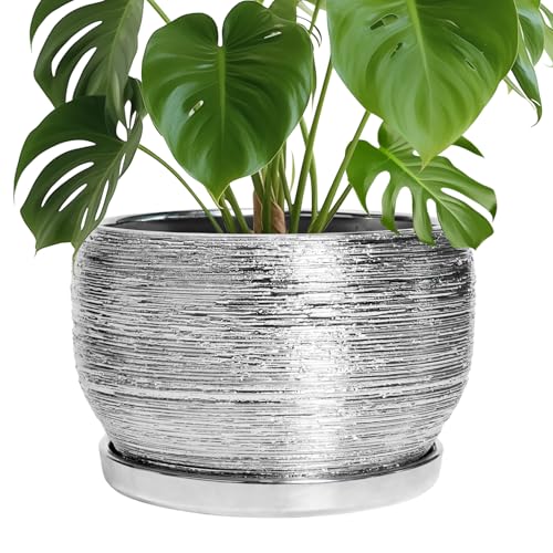 Ceramic Pot for Plants