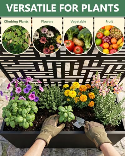 Metal Planter Box with Trellis (Black / 1pc)
