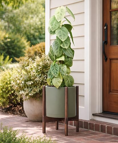 Plastic Pot with Walnut Wood Stand (Olive Pot + Walnut Color Stand / 10 Inch)