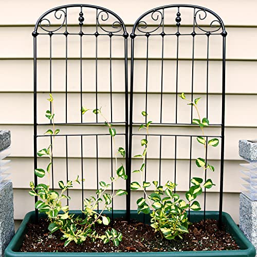 Sunnydaze 32" Black Metal Garden Trellis for Climbing Plants (Elegant Scroll - 32")