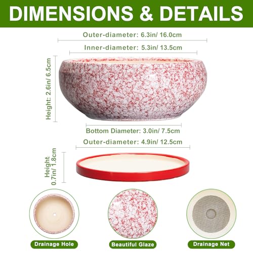 Bonsai Pots Small (6 Inch / Red-white)