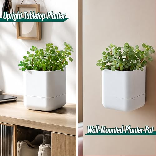 4.5 Inch Wall Mounted Self (4.5" (1 Pack) / White)