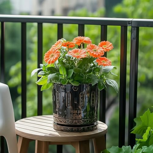 Ceramic Plant Saucer 7.5 Inch (7.5 Inch / Black)