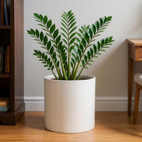 Plastic Planter Pot with Saucer (12 Inch / Oatmeal)