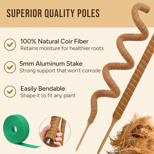 Moss Pole Monstera Plant Support (2-Pack (64 in))