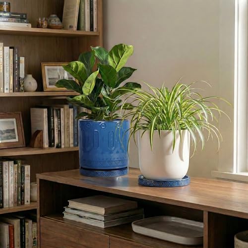 2 Pack 5.6 Inch Flower Pot Saucers (5.6 Inch (2 Pack) / Blue)