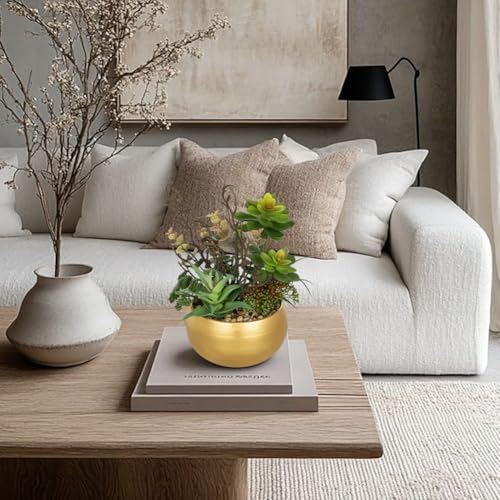 Artificial Succulent Plants in Gold Pot Faux Succulent Arrangement Fake Potted Plants with Pebbles for Home Office Desk Shelf Table Decor (Gold)