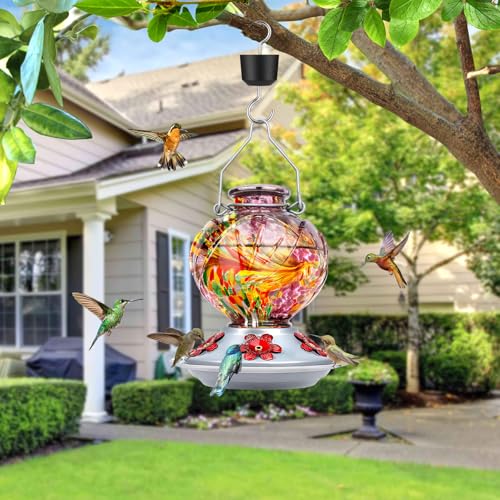 Hummingbird Feeders for Outdoors Hanging