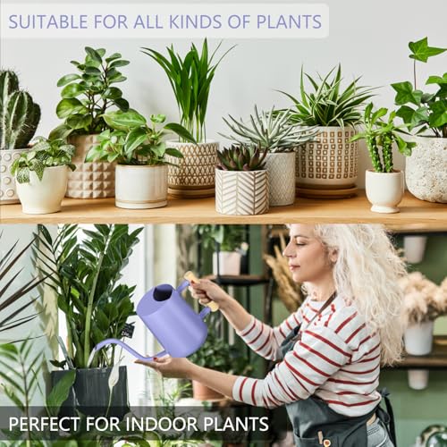 Watering Can Indoor Plants (Purple)