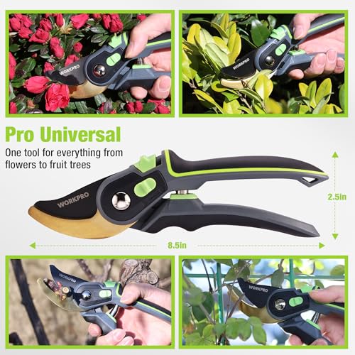 Pruning Shears