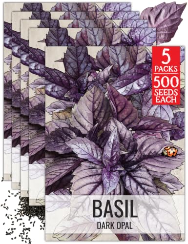Herb Seeds to Plant Opal Basil (5 Packs)