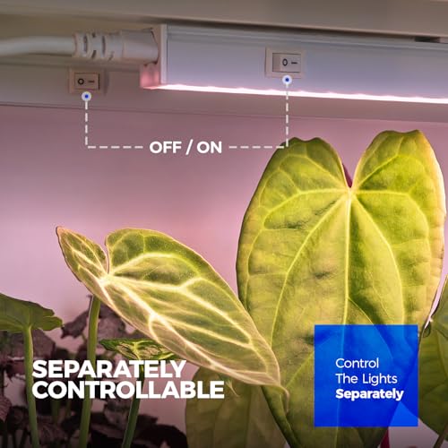 T5 Plant Lights (Pinkish White / 1ft-white Cover)