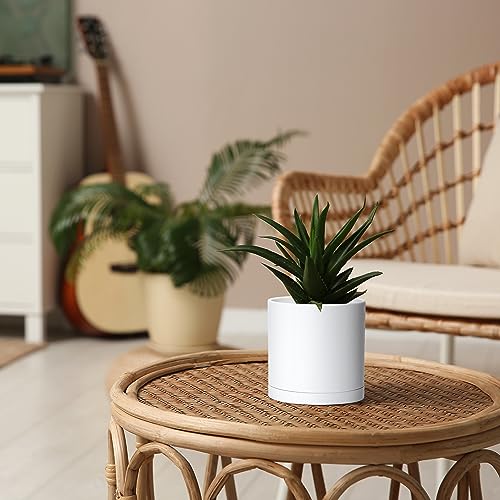 6 Pack White Plastic Planters with Saucers (5")