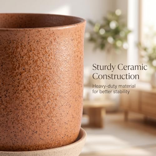 5.8 Inch Ceramic Plant Pot with Drainage Hole & Separate Saucer (Terracotta / 6 inch)