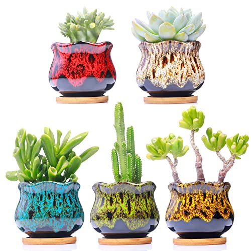 Cute Ceramic Succulent Garden Pots (Fambe)