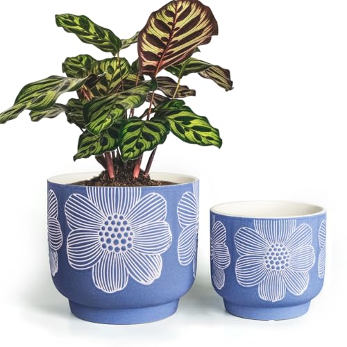 Ceramic Plant Pots (8+6 Inch / Modern Matte Blue Floral)
