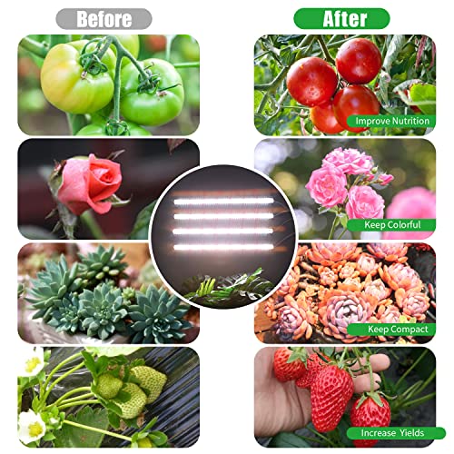 Grow Lights for Indoor Plants (White Cabel Red+White / 4 Head 1 Pack)
