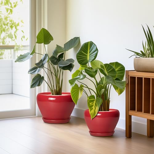 Ceramic Plant Pots (10+8+6 Inch / Bright Red)