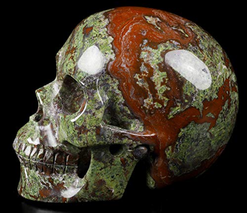 5.0" Dragon Blood Jasper Crystal Skull (Dragon Blood Jasper)