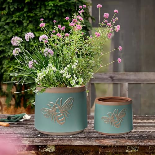 Terracotta Pots (6+4 Inch / Turquoise Bee)