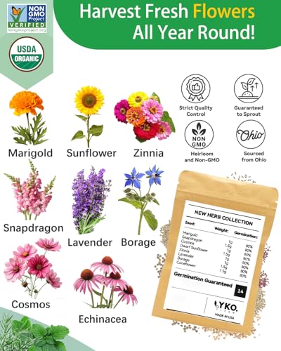 Vibrant Flower Seed Pod Kit Compatible with Gardencube (16-pods / Vibrant Flower)