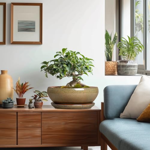 Bonsai Planter (10 Inch / Speckled Brown)