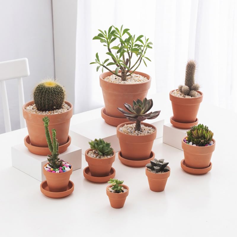 3.3 inch Small Terra Cotta Plant Saucers (3.3 inches)