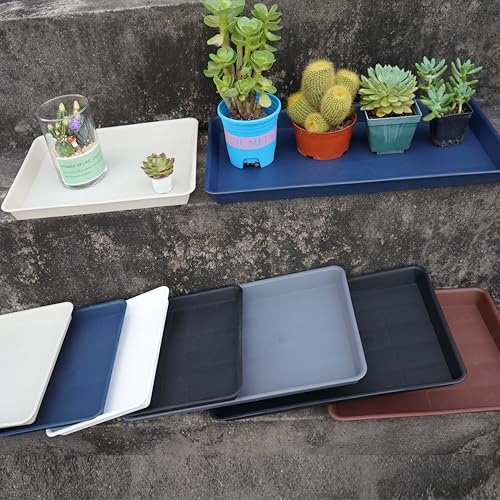 Rectangle Plant Tray (2 Count)