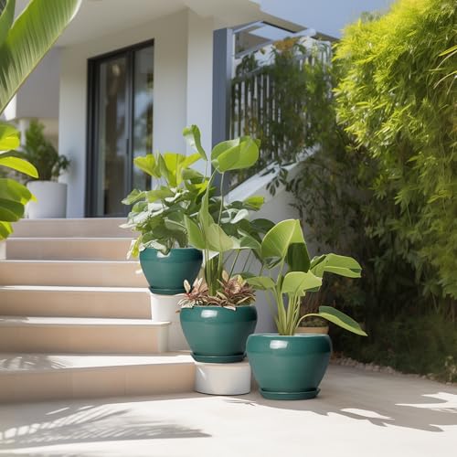 Ceramic Pots for Plants (10+8+6 Inch / Dark Green)