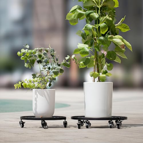 22 Inch Plant Rollers with Wheels (22in)