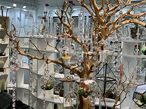 WGV Hanging Terrarium Globe (4")