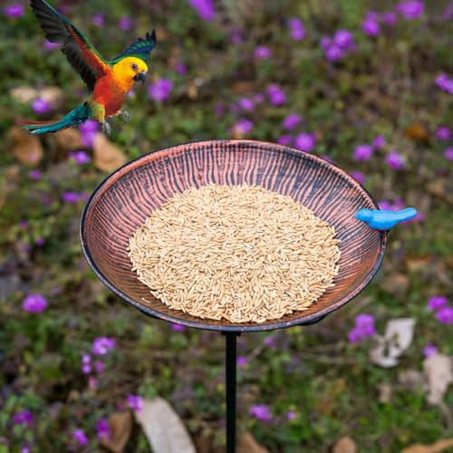 Metal Bird Bath for Outdoor (Brown-2)
