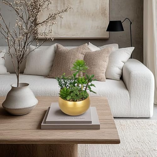Artificial Succulent Plants in Gold Pot Faux Succulent Arrangement Fake Potted Plants with Pebbles for Home Office Desk Shelf Table Decor (Gold #02)