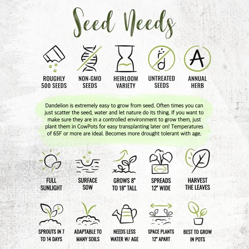 Herb Seeds to Plant Common Dandelion (5 Packs)