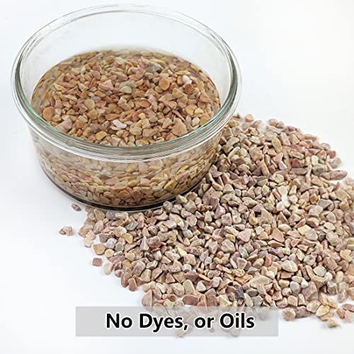 5LB Succulent and Cactus Gravel Pebbles (80 Ounce)