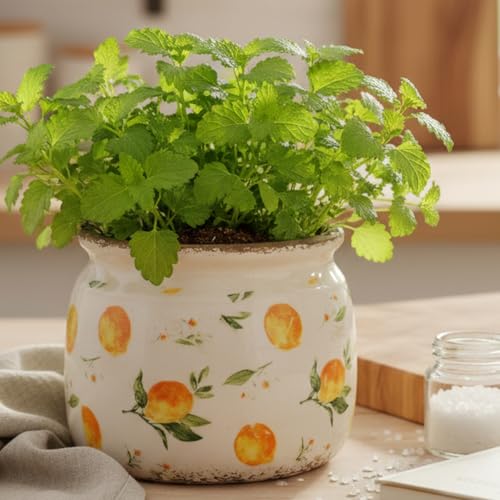 Lemon Ceramic Planter (Lemon / 6.3 in)