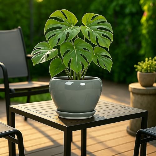 8 Inch Plant Pots (Gray / 8 Inch)