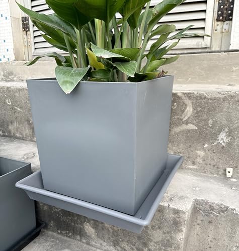 Square Plant Saucer 12 Inch 5 Pack (12"-5Pack / Gray)