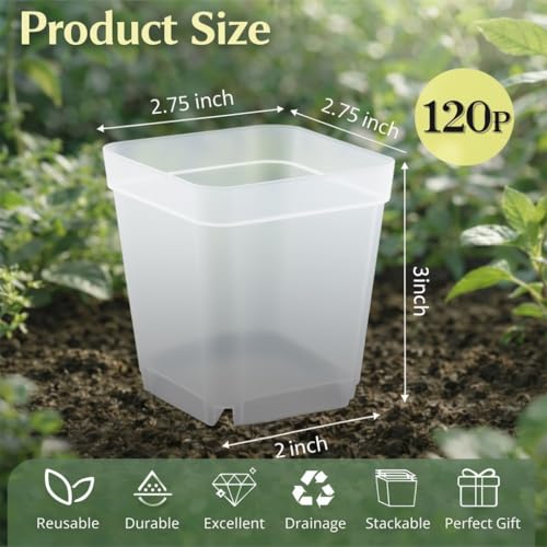 120 Packs Square Clear Nursery Pots with Drainage (Clear / 2.7" 120P)