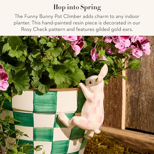 Resin Pot Climber (Rosy Check Funny Bunny)